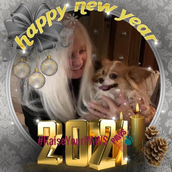 jilllovesdogs